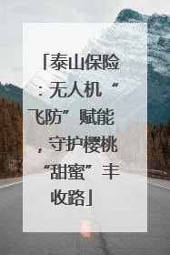 泰山保险：无人机“飞防”赋能，守护樱桃“甜蜜”丰收路